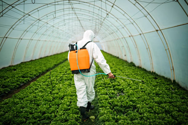 Best Emergency Pest Control  in West Middlesex, PA
